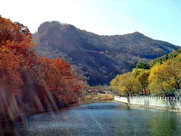 天天彩好彩天天免费，错惹极恶大亨